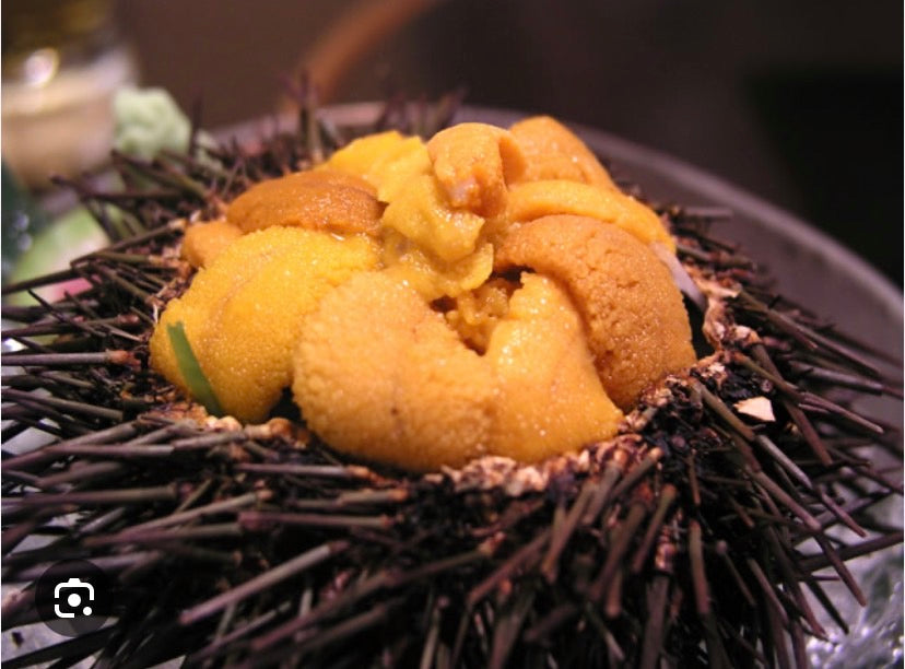 Uni